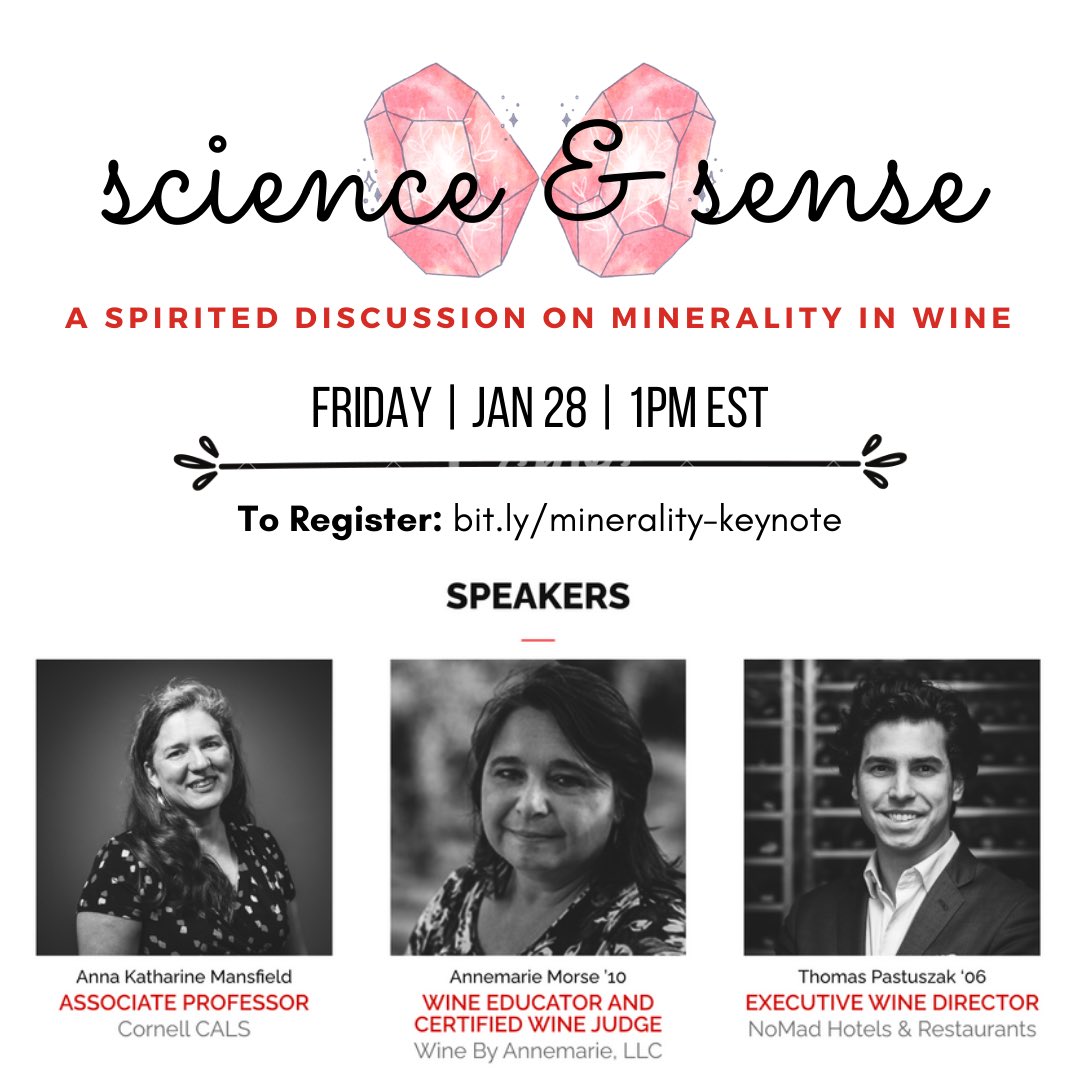 cornellcraftbev's tweet photo. Join us at 1PM EST this Friday, January 28 to get all of your mysterious minerality questions answered! Register at https://t.co/PWYJVLD8cl https://t.co/g7wNzxGFOK