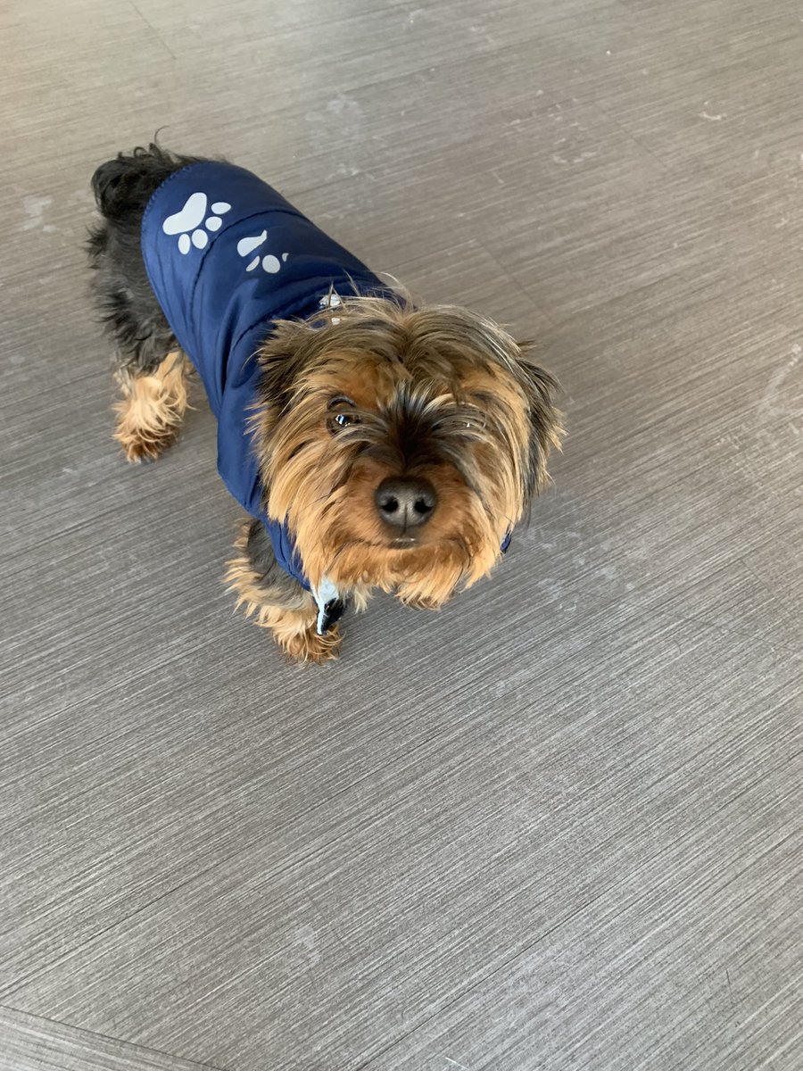 Fun day meeting with some of the innovative <a href="/VentureBest/">Venture Best</a> team - and office dog, Harry - at <a href="/MichaelBestLaw/">Michael Best</a> Broomfield. <a href="/james_r_forrest/">James Forrest</a>