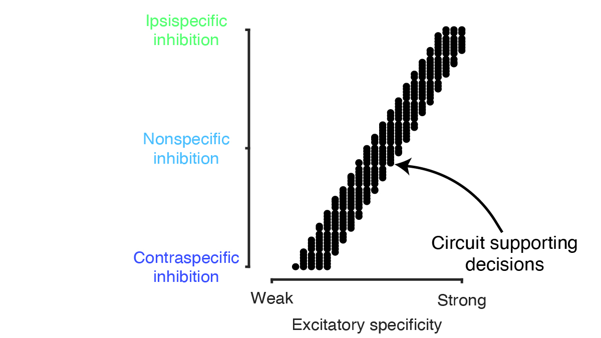 James Patrick Roach tweet media