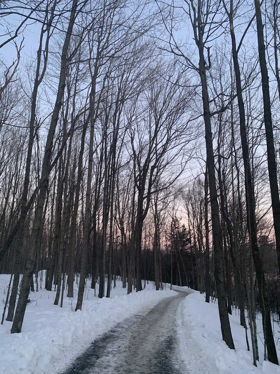 Some days are good, some days are not and some are in between. No matter what the day, outside is always my happy place. It’s ok not to be ok. #BellLetsTalk #BellCause <a href="/MentalHlth_LDSB/">LDSB Wellbeing</a>
