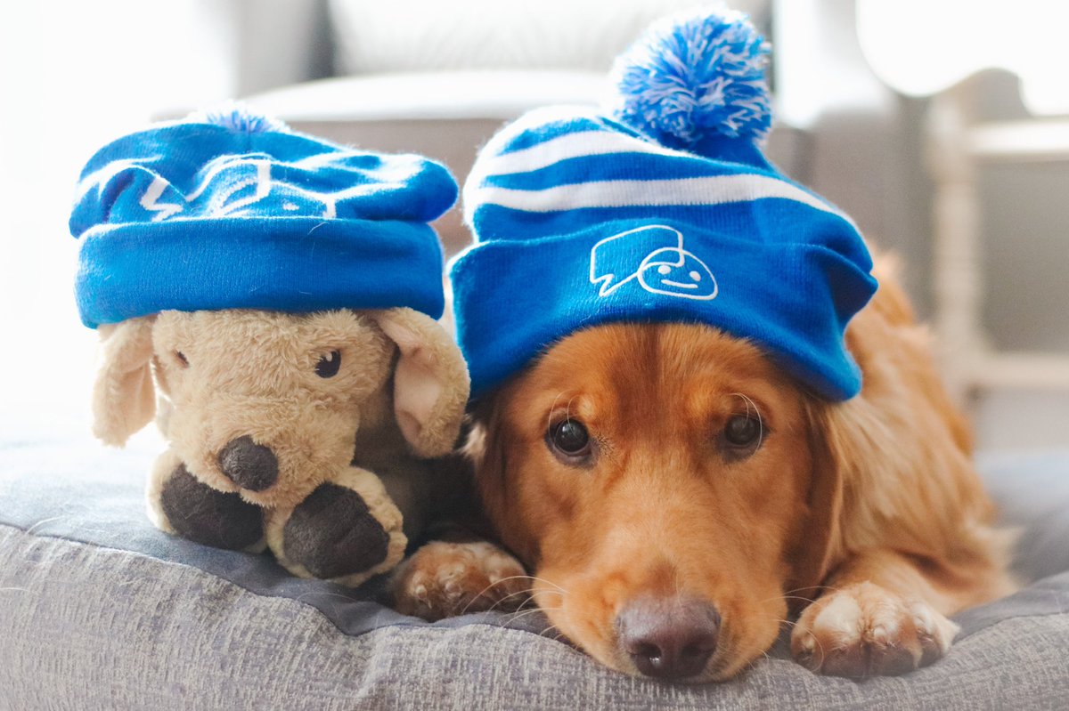 Resharing one of my favourite photos of our Levi for #BellLetsTalk day. We all need a support system we can count on 💙 #MentalHealthMatters