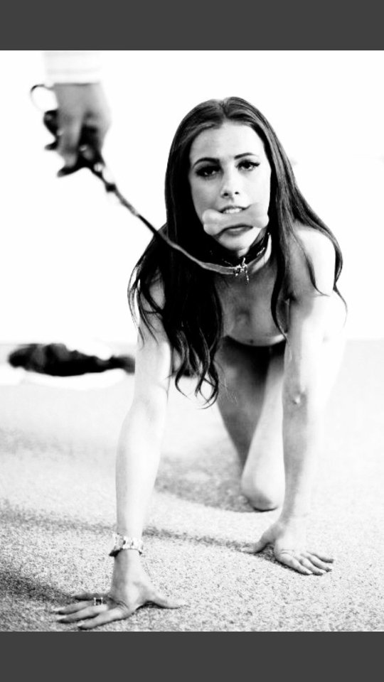 Evide besliceğim köle istiyorum herşeyi bana ait olcak dişi köle olması ilk terciğim 
#sahibe #sahip #master #mistress #köle #bdsm #falaka #bastinado #ayakfetişi #daimiköle #hizmetçi