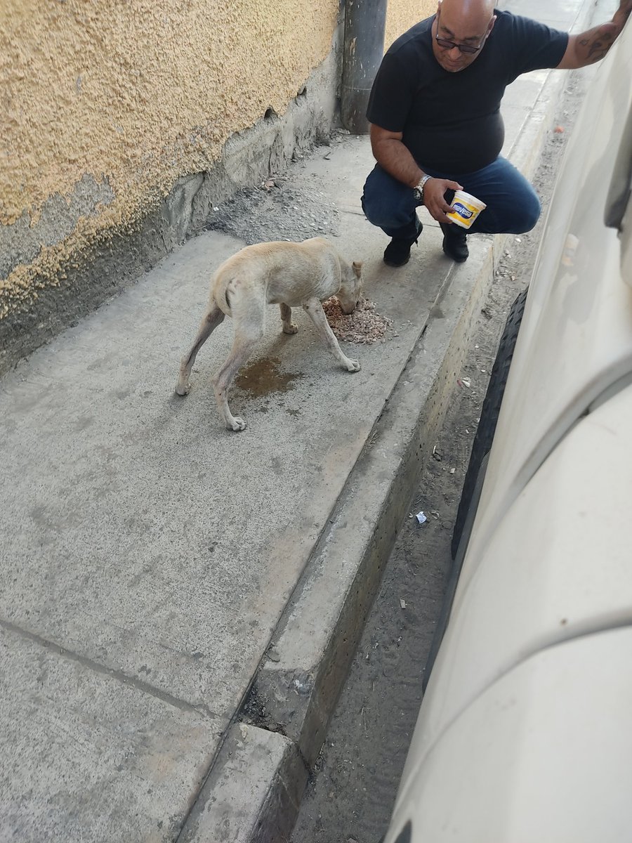 Perdóname la palabra pero esta foto es la más arre...que me han tomado...ESTE PELUDO SE ORINÓ DE ALEGRÍA X QUE LE PUSE COMIDA...😭😭😭 Me sacó las lágrimas DIOS MIO QUE FUERTE 😢 ES HACER ESTA LABOR SOCIAL