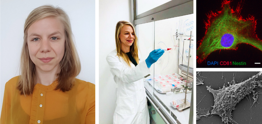 We’re thrilled to announce the recipient of the 2022 Robert Connor Dawes Foundation @CERNfoundation Fellowship awarded by @NBTStweets – Dr Kendra Maass, scientist at @KiTZ_HD, @DKFZ @Pajtler_Lab   

Read more: bit.ly/cern-fellow