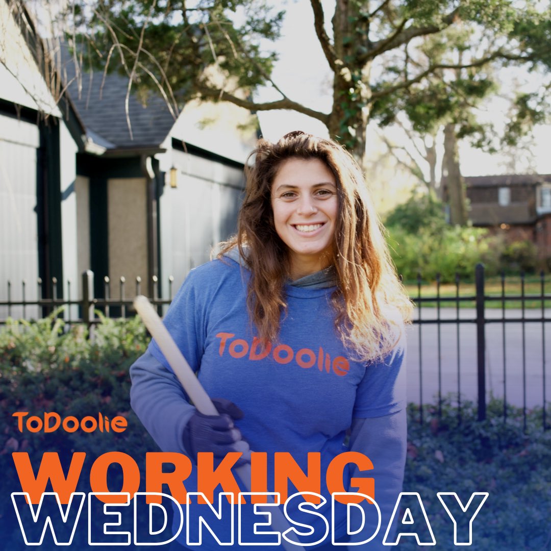 ToDoolie tweet media