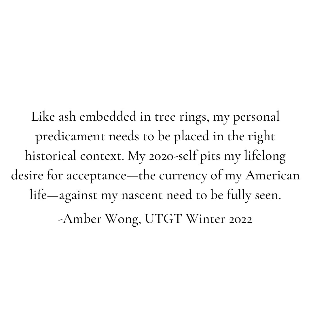 Under the Gum Tree tweet media