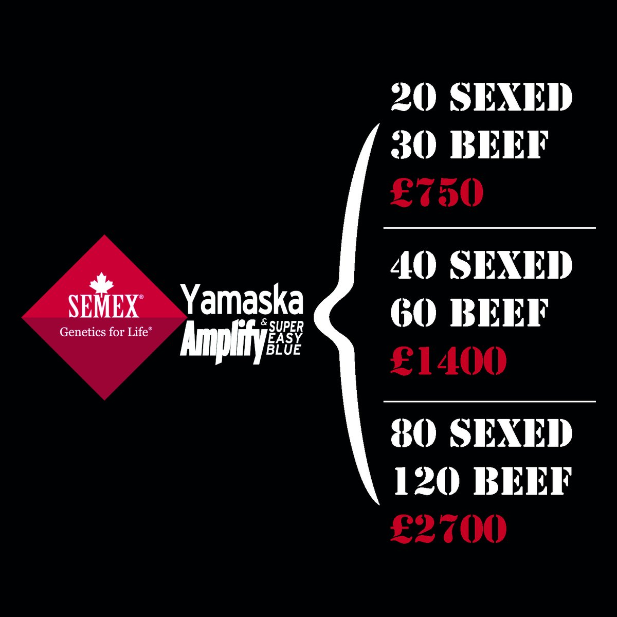 semexUK's tweet photo. Glowing reports across the board from Yamaska daughters.... continuing to be Proven In The UK. Contact your Semex consultant for more info!
#SemexSolutions #Semexgfl https://t.co/mRcVwfFl4a