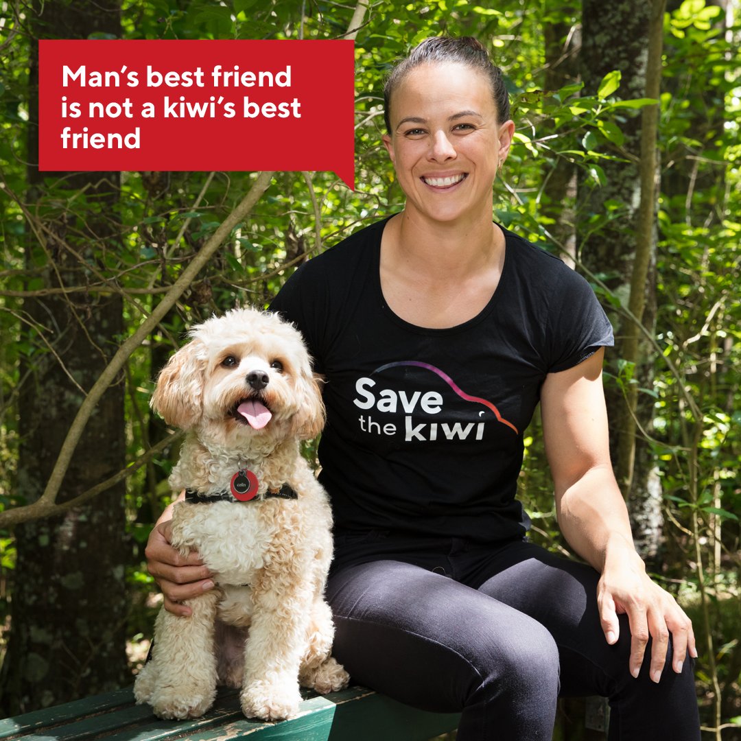 If you’re heading away this Auckland Anniversary Weekend or getting out and about in New Zealand’s great outdoors, please remember to keep your dog on a lead. >>> ow.ly/8mo750Hzrvj #savethekiwi

<a href="/LisaCarrington/">Leesa.eth | CertiK</a>