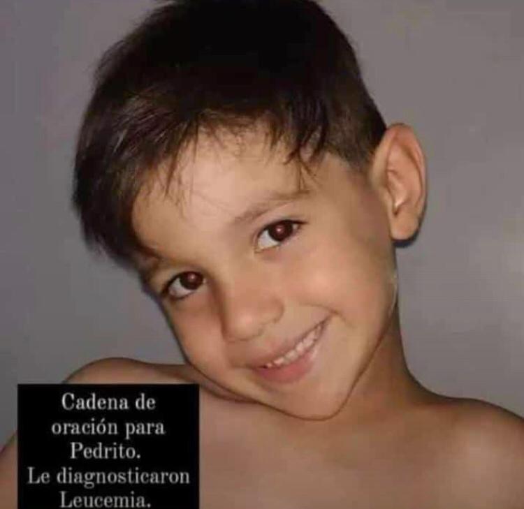melisamedinaa's tweet photo. A Pedro le diagnosticaron leucemia y necesitamos dadores de sangre. En la foto info. Es en la fundación hemocentro en Caba. Difundir por fa!! @AngeldebritoOk @rickypaumpaum @teloresumo @verolozanovl @Asnicar__Brenda @juaninga @juan_amorin @JuanaRepetto @mica_tinelli https://t.co/4aczzIG6if