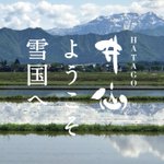 ツイートに含まれる画像