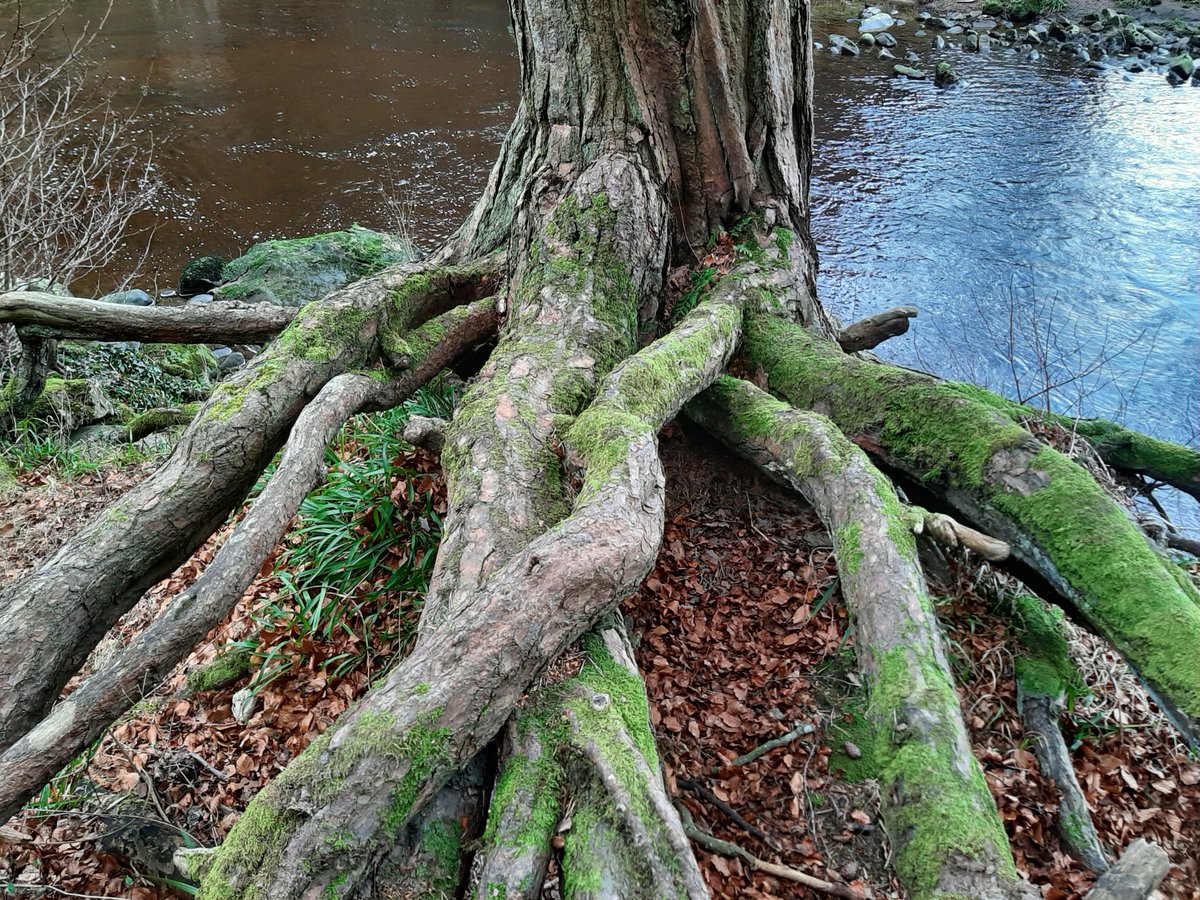 Audio shows how 5 simple tools can get your recovery underway now. esteemtherapyyorks.co.uk/post/free-reco…
youtu.be/QH_hc6Gr5cE