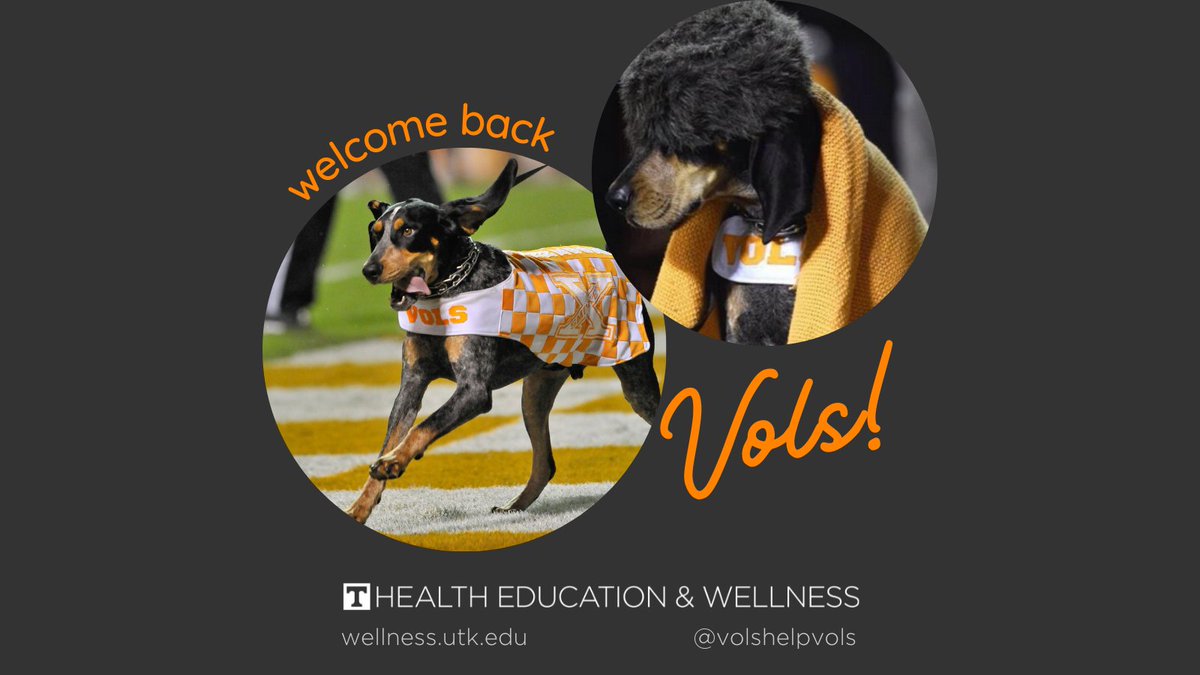 Center for Health Education & Wellness tweet media