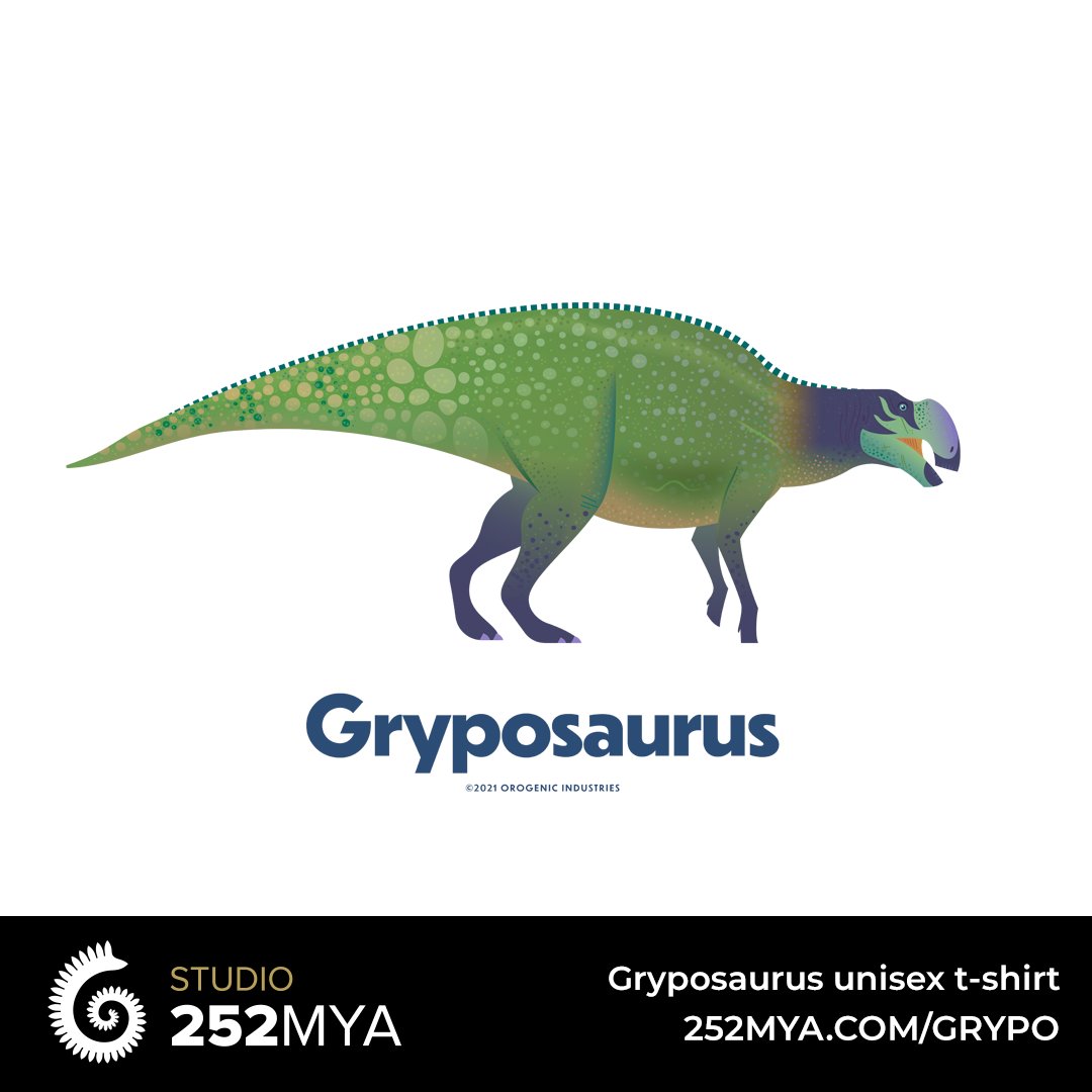 studio252mya's tweet photo. Hadrosaurids deserve more love! Gryposaurus lived during the Late Cretaceous of North America. 

https://t.co/nyxTseMBVw

Design by @anatotitan 

#paleoart #sciart #hadrosaur #hadrosaurid #dinosaur #dinosaurs #fossil #paleontology #fossils #gryposaurus #cretaceous  #illustration https://t.co/kKudTyCMBA