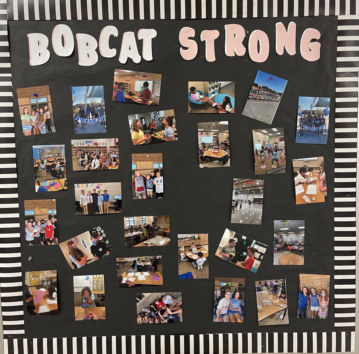 Curt Finch, PhD tweet media