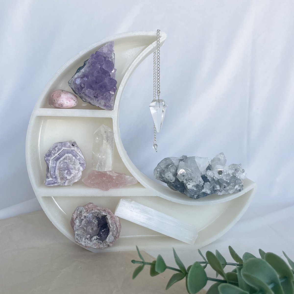 sincerelysprite's tweet photo. New additions to the shop, display shelves. 😍🔥🤍 https://t.co/CAosVCoQwk