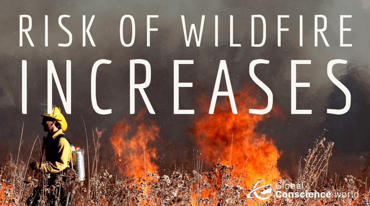 Since 1983 the National Interagency Fire Center has documented an average of Approximately 70,000 wildfires per year. Wildfires displaces tens of thousands of people and animals from their homes every year. Learn how you can help by visiting GlobalConscience.World
