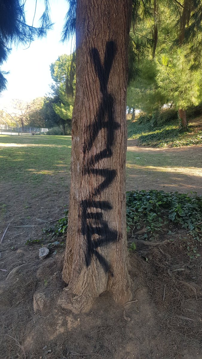 AjSitges's tweet photo. L'Ajuntament de Sitges vol denunciar actituds incíviques i irresponsables, com la pintada que ha patit aquest arbre al Parc de Can Robert. Probablement, generarà danys irreparables en l'arbre.
L'espai públic és un lloc de convivència i civisme. Respectem-lo.
(📷 @aangelsala ) https://t.co/KzUNDNjmMv