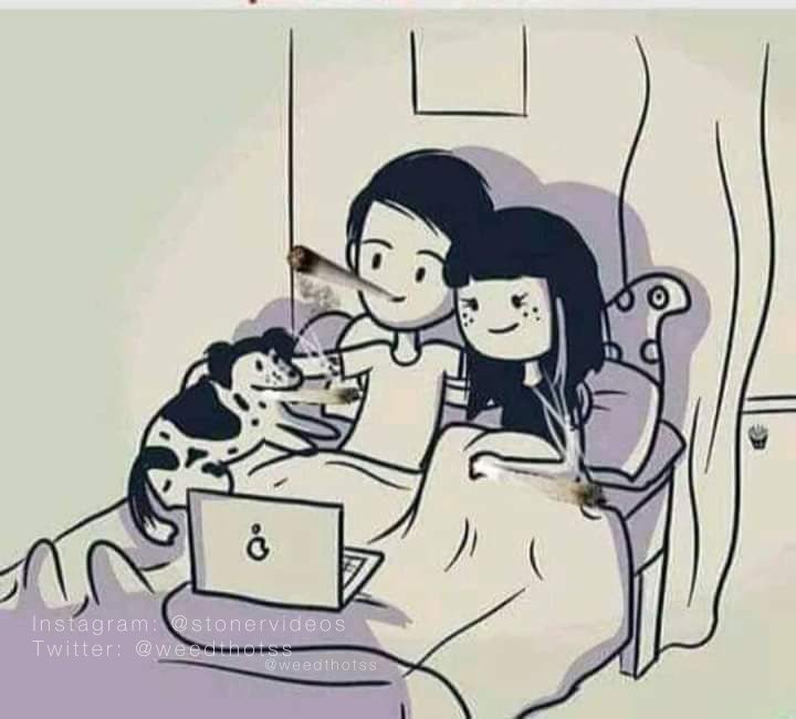 need this asap