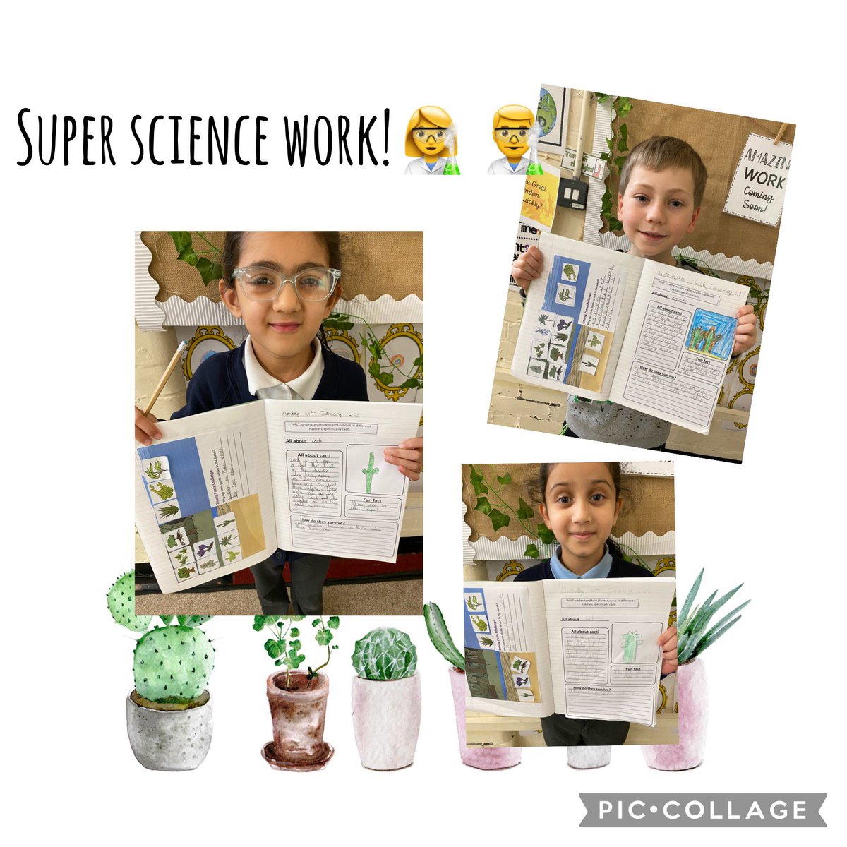MissLadva's tweet photo. Some super fact files in Science this week 🙂 👩‍🔬 👨‍🔬 https://t.co/TqDuDqanPS