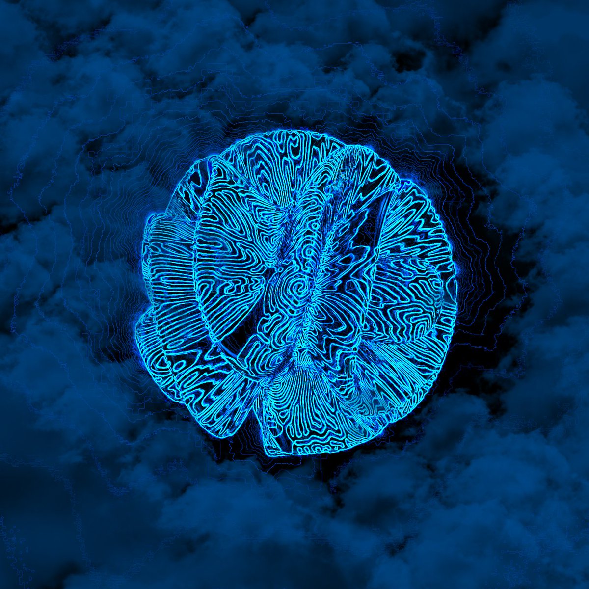 Generative Miners tweet media