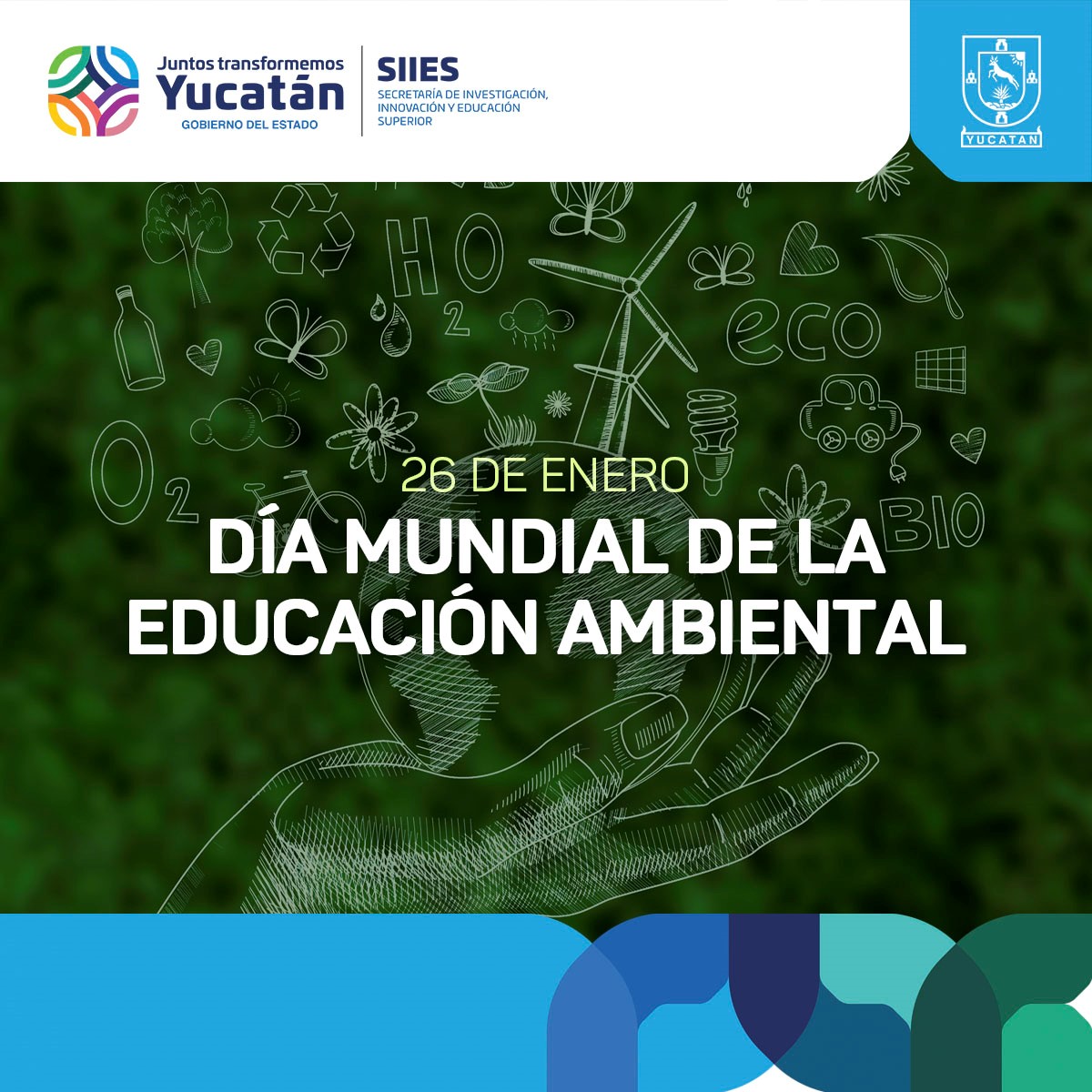 En el Día Mundial de la #EducaciónAmbiental, refrendamos nuestro compromiso con el medio ambiente, de enseñar a nuestras y nuestros #estudiantes a desarrollar conocimientos y habilidades para proteger la flora y la fauna de sus comunidades.