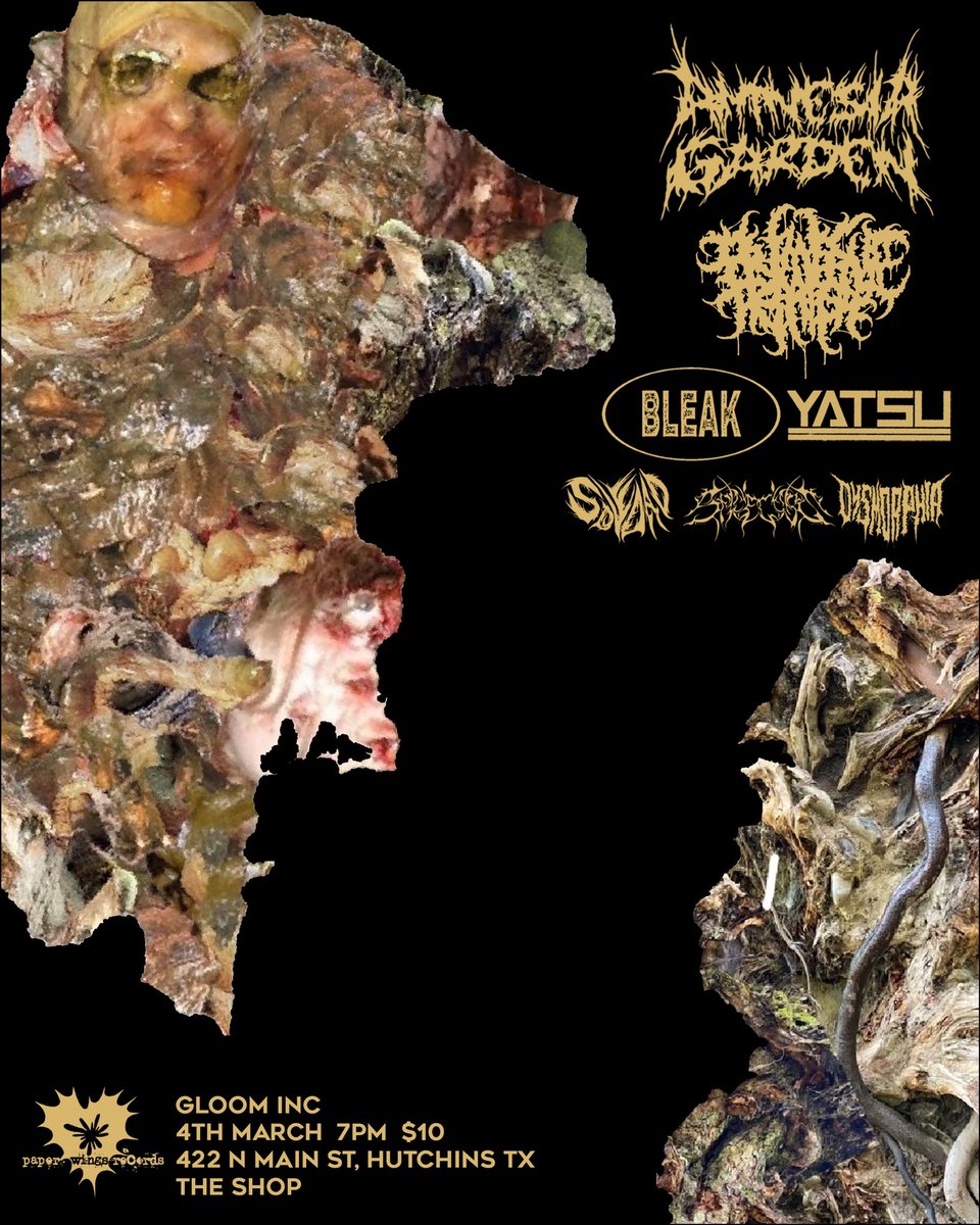 AmnesiaGarden's tweet photo. FINAL UPDATE ✝️🖤
4TH MARCH @ THE SHOP
w/
@PRIMITIVERAGEHC 
@bleakleacounty 
@yatsutx 
@Soledad_Tx 
@SpinelessTx 
DYSMORPHIA (FIRST SHOW) https://t.co/66UwvEKrYB