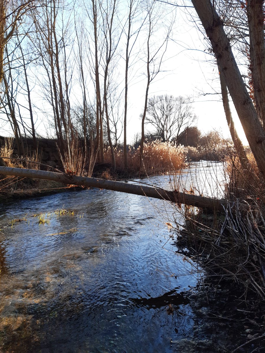 AquaColab tweet media