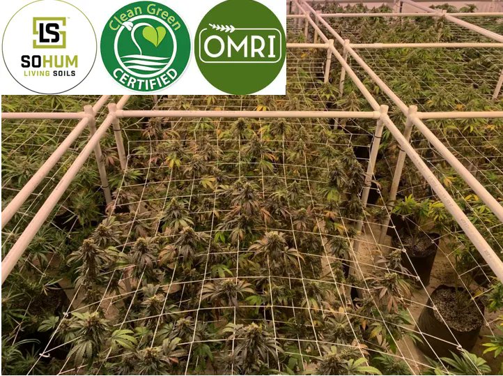 NaturaleafCOS's tweet photo. Get clean and smoke our green 🍃 😎 
#cannabissociety #cleangreen #medicalmarijuana #ColoradoSprings  #cannabisindustry #CannabisCommunity #420friendly #420life https://t.co/YOWgNqOPeF