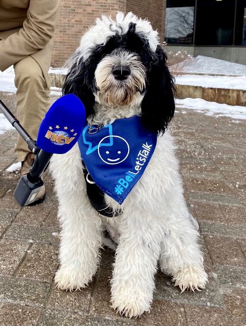 PSD_Stella's tweet photo. Join me tonight with @AmandaMews @NTVNewsNL &amp; Rebecca Bell of @Bell_LetsTalk on the NTV evening news hour. It will be a pawsome interview, Woof, Woof!#BellLetsTalk #ThrowBack #Kindness https://t.co/rDlMh10Lyb