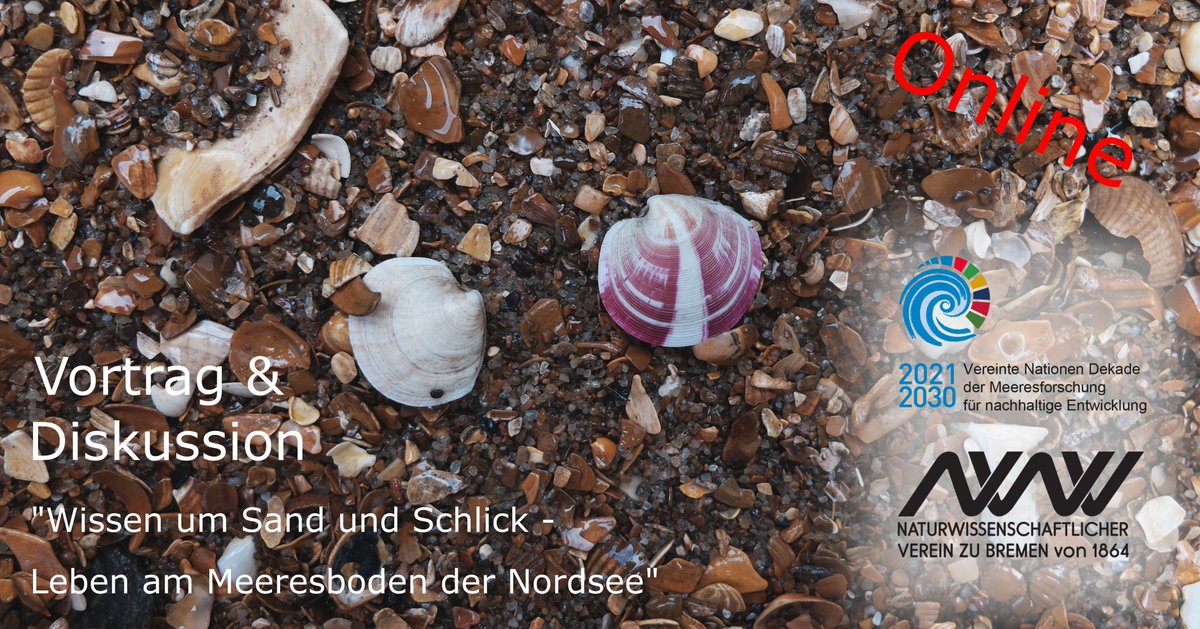 Simon Jungblut tweet media