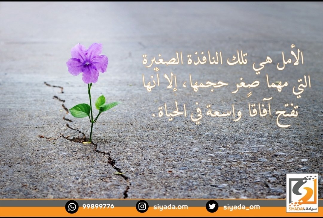 siyada_om's tweet photo. https://t.co/eRk4j0ghlu