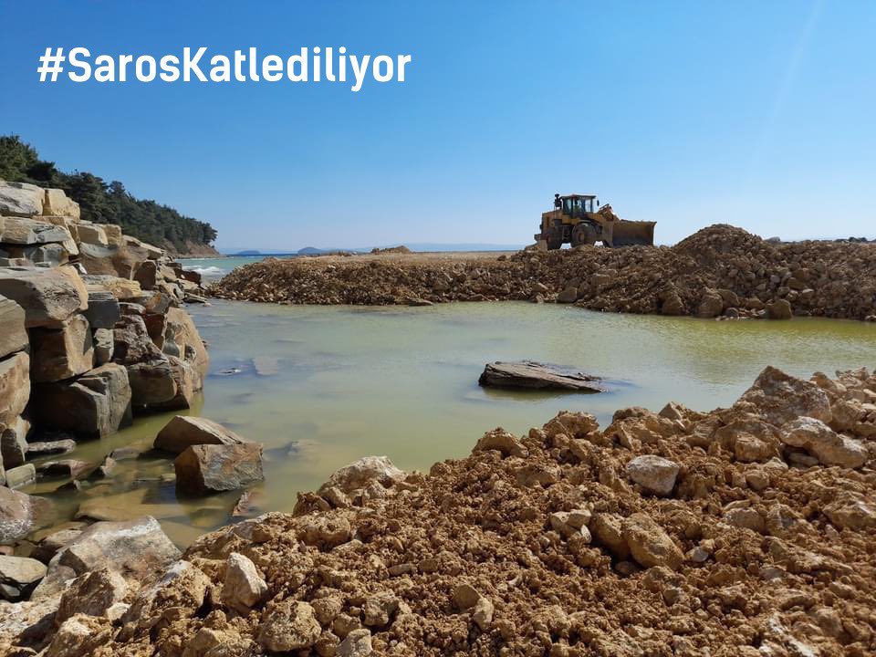Kuzey Ormanları Savunması tweet media
