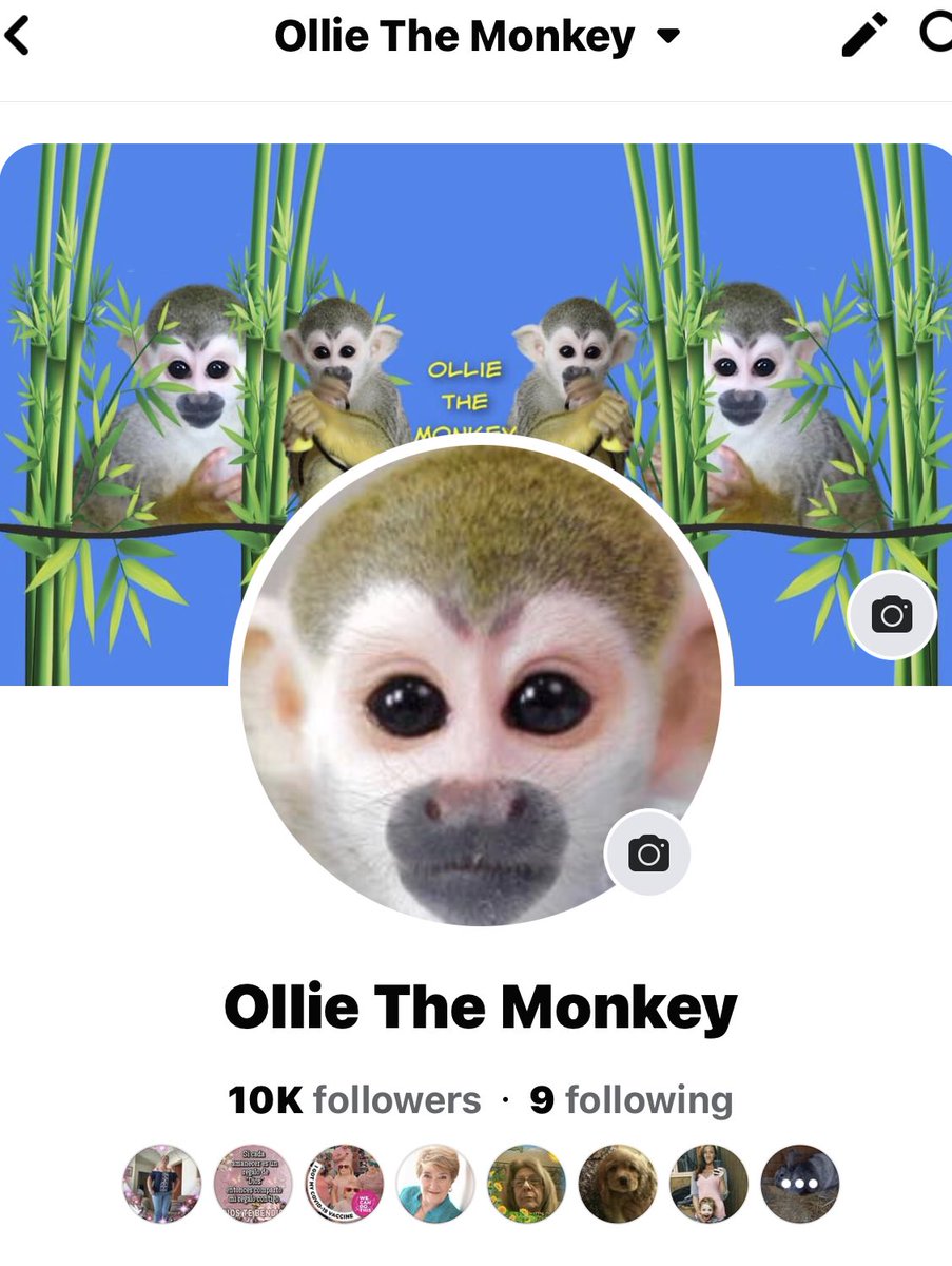 OllieTheMonkey1's tweet photo. Not a Bad Way To Start A Wednesday!
We MADE IT TO TEN K FOLLOWS
Thank You All So Much For Getting Us Here, I Swear We Were At 8k Last Week! π
Nowhere To Go But Up Now!
Have A Great Day!π
β€οΈπβ€οΈπβ€οΈπβ€οΈπβ€οΈπβ€οΈπ
#milestones #monkey #ollie #monkeyboocrew https://t.co/8eQgkROSo8