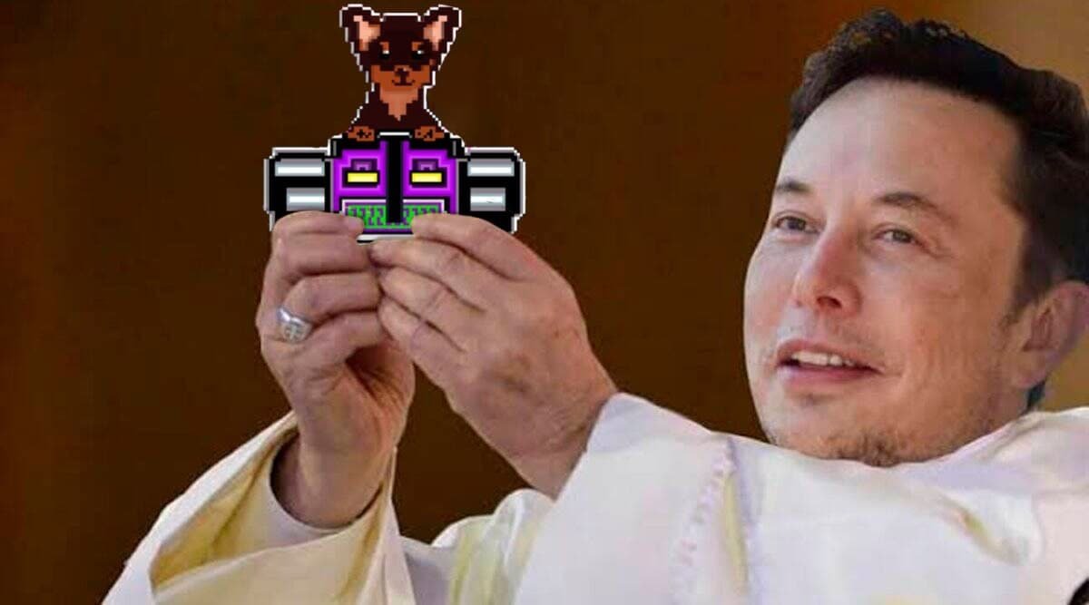 bruportari's tweet photo. @elonmusk Introduce the best pup of puppies... Fly to the moon DogzVerse Auuuuuuuuuuu 
https://t.co/QKbszLTPgH #dogzverse #dogz https://t.co/p0GFICkEe6