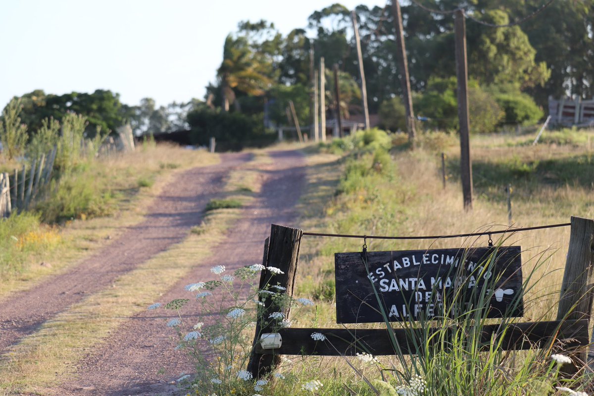 Maria Jose Urioste tweet media