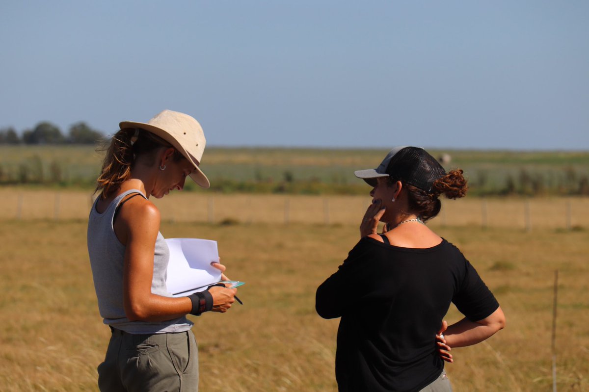 Maria Jose Urioste tweet media