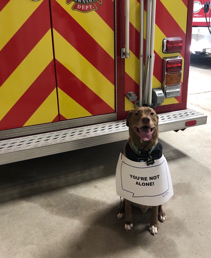 McMillanAndrew3's tweet image. We are all in this together! #BellLetsTalk