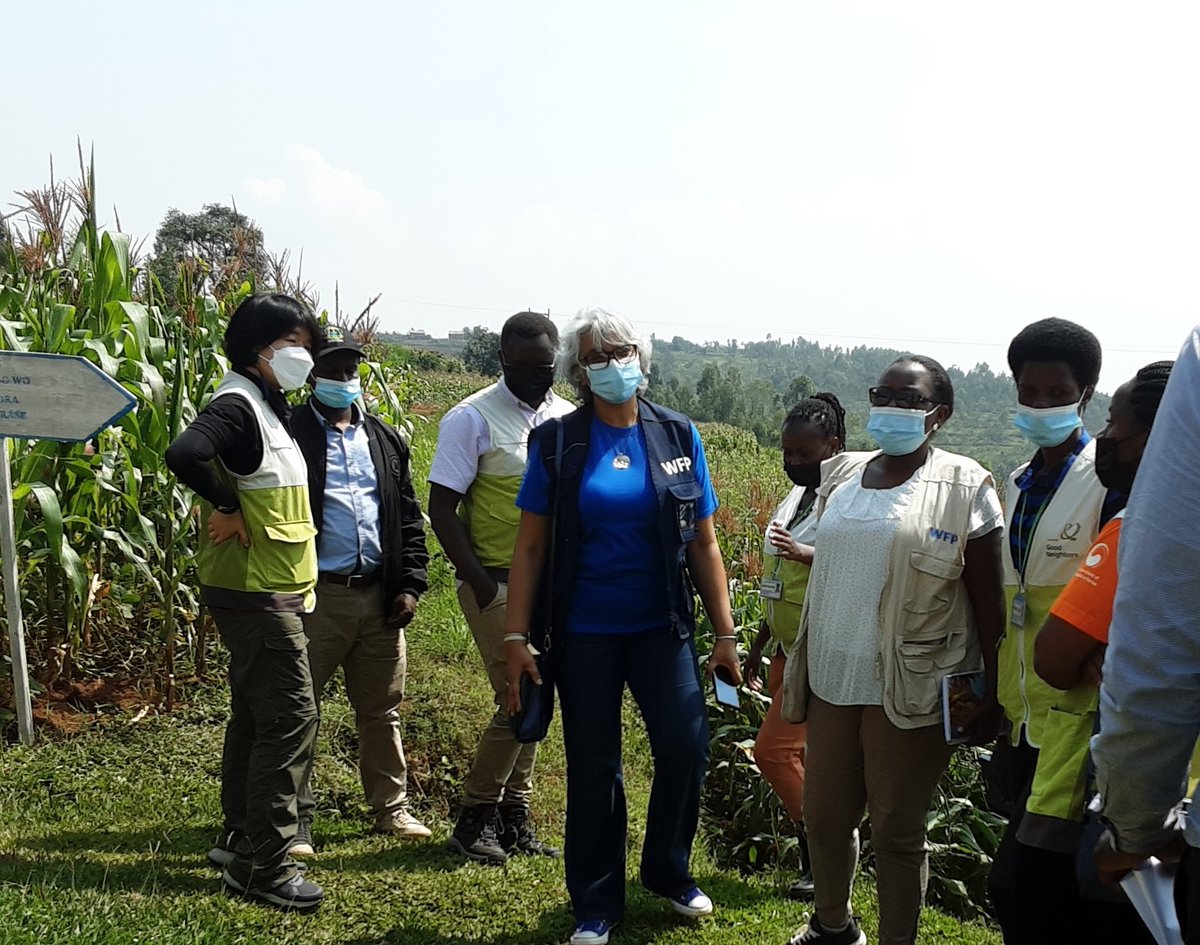 AhmareenKarim's tweet photo. Working together, the SMART team supports the most vulnerable and #smallholderfarmers in #Rusenge @NyaruguruDistr ! Thank you @KOICA_Rwanda!  @WFP @GoodNeighbors @RRwarri @EdithHeinesWFP https://t.co/jnx1Yru8A8