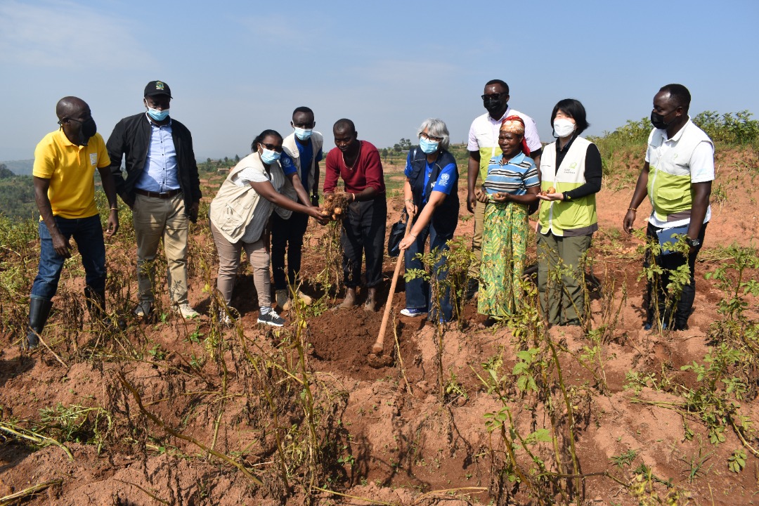 AhmareenKarim's tweet photo. Working together, the SMART team supports the most vulnerable and #smallholderfarmers in #Rusenge @NyaruguruDistr ! Thank you @KOICA_Rwanda!  @WFP @GoodNeighbors @RRwarri @EdithHeinesWFP https://t.co/jnx1Yru8A8