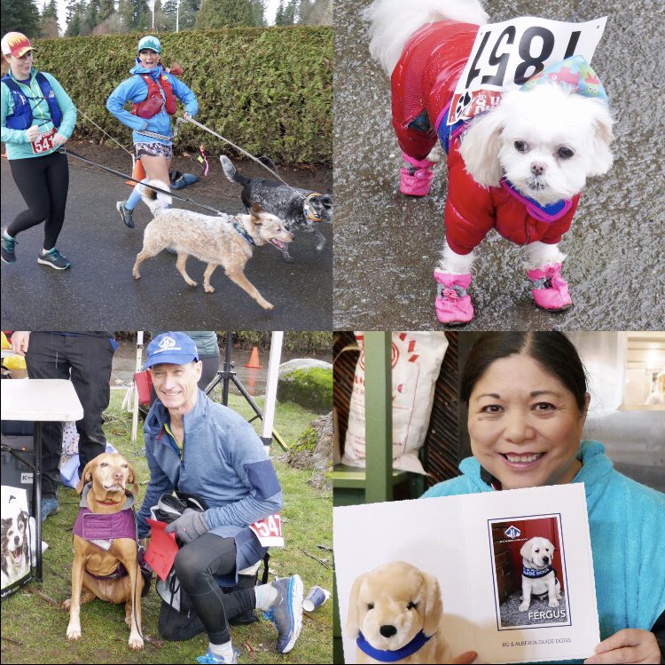 debrakato's tweet photo. Just signed up for RunGo Dash for Dogs ‘22! This is always such a fun event in gorgeous Stanley Park! Who’s going to join us? 2K, 5K, 10K run or walk. Lots of sweet doggies! Don’t miss it!
#rungodashfordogs #stanleypark #westvanruncrew #thesweatlife #vancouver #bcalbertaguidedogs https://t.co/jB0aeizyb0