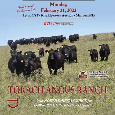 KathyTokach's tweet photo. Want to hold the 2022 sale catalog in your hands for ease of viewing? 

Last chance to sign up to get a copy in the mail! Go to https://t.co/u6Uf2b6aEH

#Angus #Anguscattle #NorthDakota #beef #bullsale #TokachAngusRanch https://t.co/D4THVHCrL4