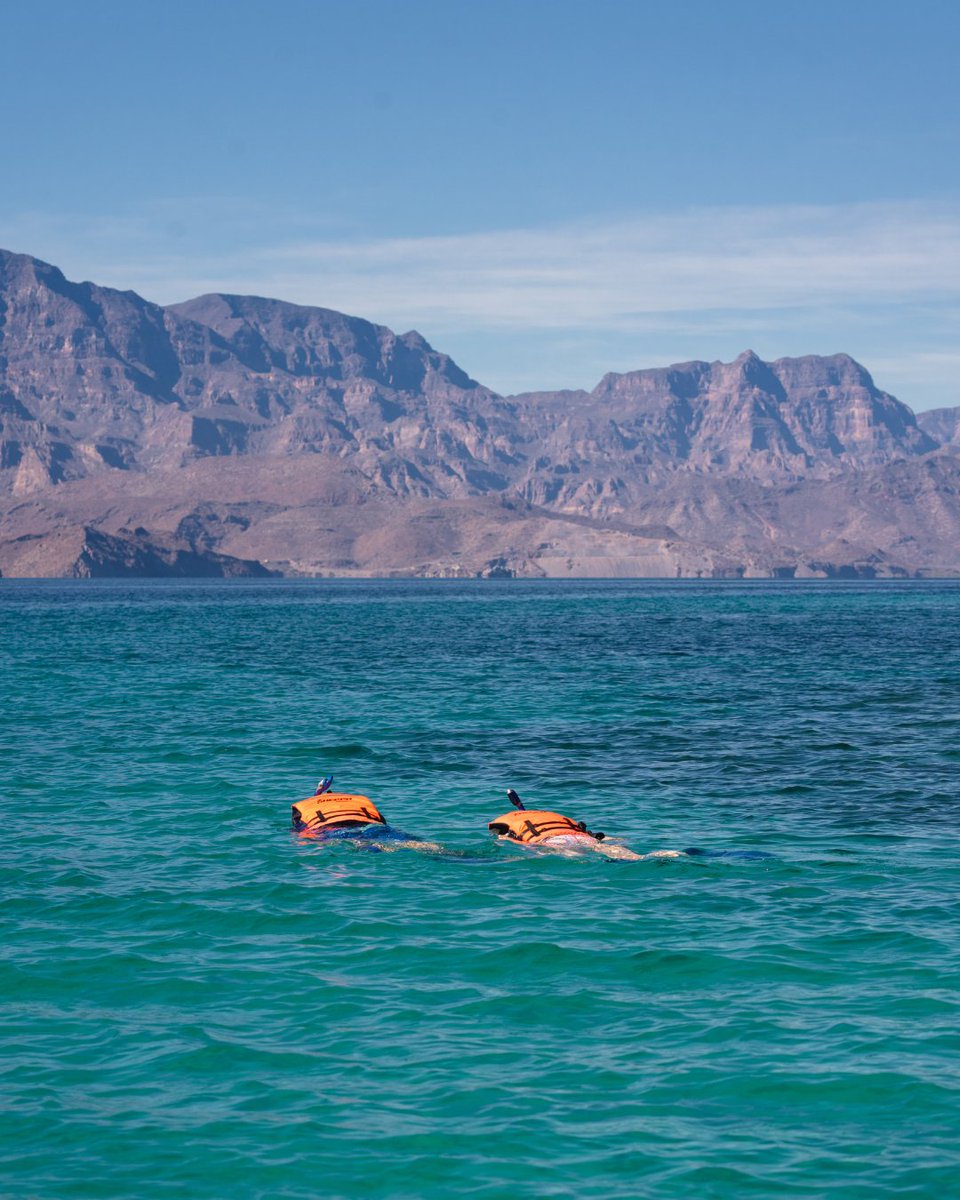 VilladelPalmarL's tweet photo. Let's go exploring the beautiful Islands of Loreto, which one have you visited? 😎🏝
A. Danzante Island
B. Carmen Island
C. Coronado Island
D. Montserrat Island
E. Catalina Island
#loretomexico #islandsofloreto #secludeddestinations #travelmexico #mexicovacation #loreto https://t.co/5R4pBrziGO