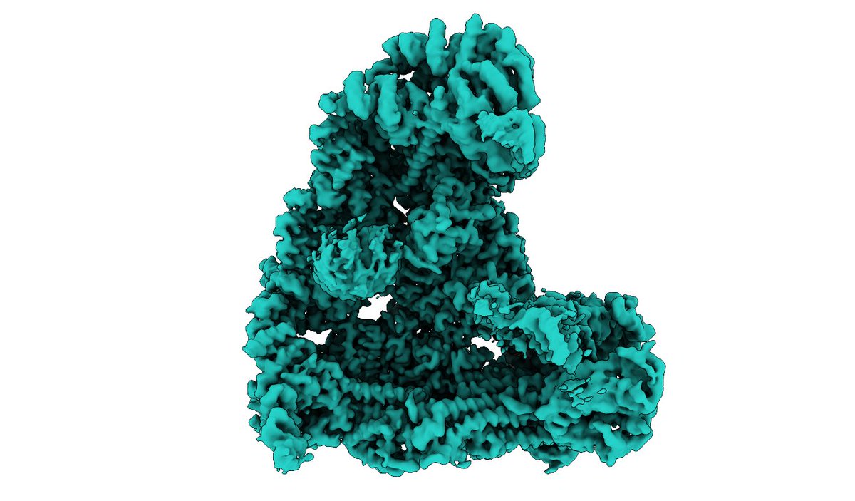 BolandLab_GE's tweet photo. Today, we have released the first sub-3 Å EM-maps of the APC/C even before publication (PDB-7QE7)
We hope that this more complete and accurate model will already be useful for scientists working on cell cycle regulation.
Work led by Anna Höfler together with Jun Yu @JunYu_unige https://t.co/oRWaEDF8IA