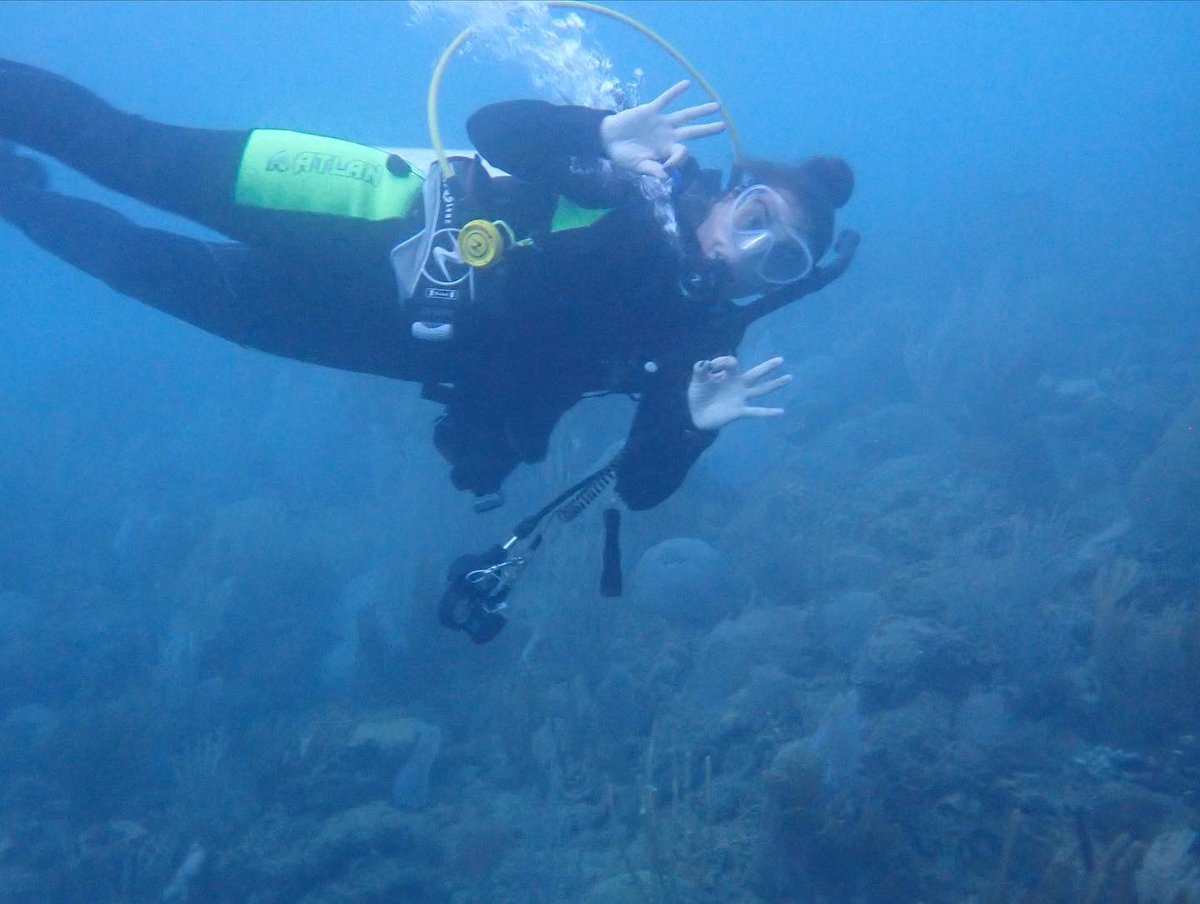 DivingRincon's tweet photo. 😃‘A smile is happiness you’ll find right under your nose’ - Tom Wilson 

It is easy to smile when adventuring with friends! 

These two went on our ✨TWILIGHT DIVE✨

☀️We take you diving when the sun is out and then when the moon comes out, we dive again!🌙 https://t.co/IlgaalKRK3