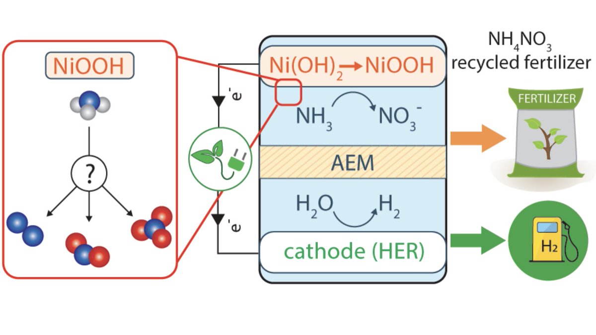 AnnaKlinkova's tweet photo. Our paper on the pathways of ammonia electrooxidation on NiOOH anodes just appeared online in 
@green_rsc: https://t.co/Vnay3ZJqcD (mechanistic insights and ways to steer product selectivity, and the reaction application to nutrient recovery from waste) https://t.co/SJNXtoD4od