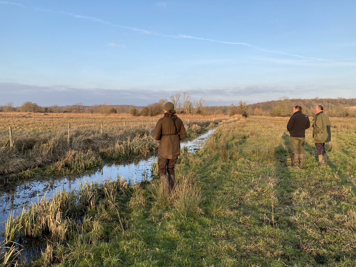 Waders For Real tweet media