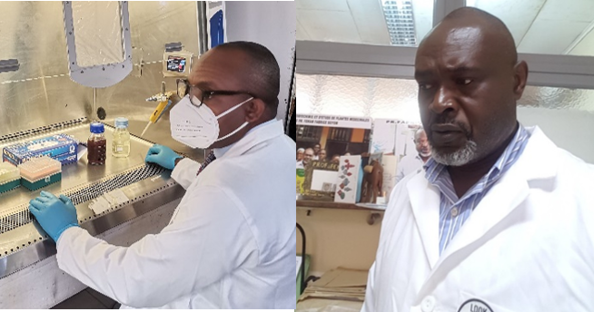BIOVentures's tweet photo. .@EMDGroup supports #schistosomiasis drug discovery through #BVGH-coordinated #WIPOReSearch collaborations with African scientists (incl. Profs. Christian Agyare @KNUSTGH & Fabrice Boyom @UnivYaounde1) & @SwissTPH. #WorldNTDDay #BeatNTDs @Sightsavers https://t.co/z0N7NLyTY9 https://t.co/abGPgB8Gjl