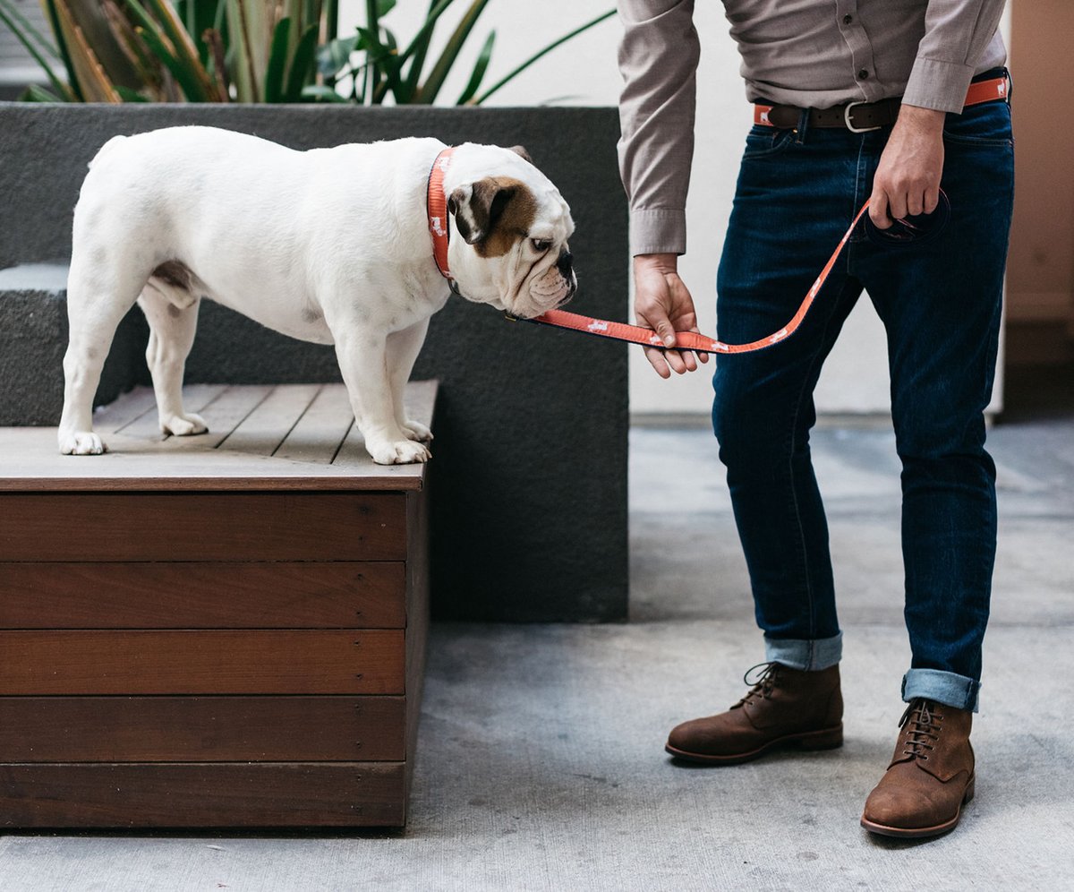 dukeandwinston's tweet photo. #humpday Inspiration “The Bulldog Spirit is having the courage to say no to silliness” #pickmeupplease #orwewillbehereallday #thebulldogspirit https://t.co/jWy5VTStnf