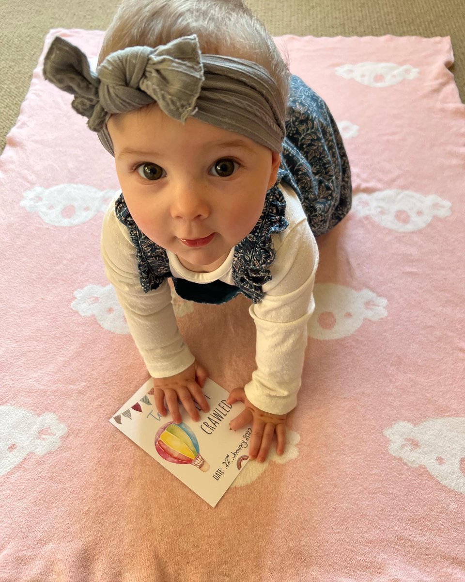 jade243's tweet photo. Another delayed post! Time to lock everything down and buy stair gates!
There’s no stopping her now… 😬 Poor Bailey…
#BabyGirl #FirstTimeMummy #MaternityLeave #MumJourney #BabyAdventures #CrawlingBaby https://t.co/AVqR9pGNTr