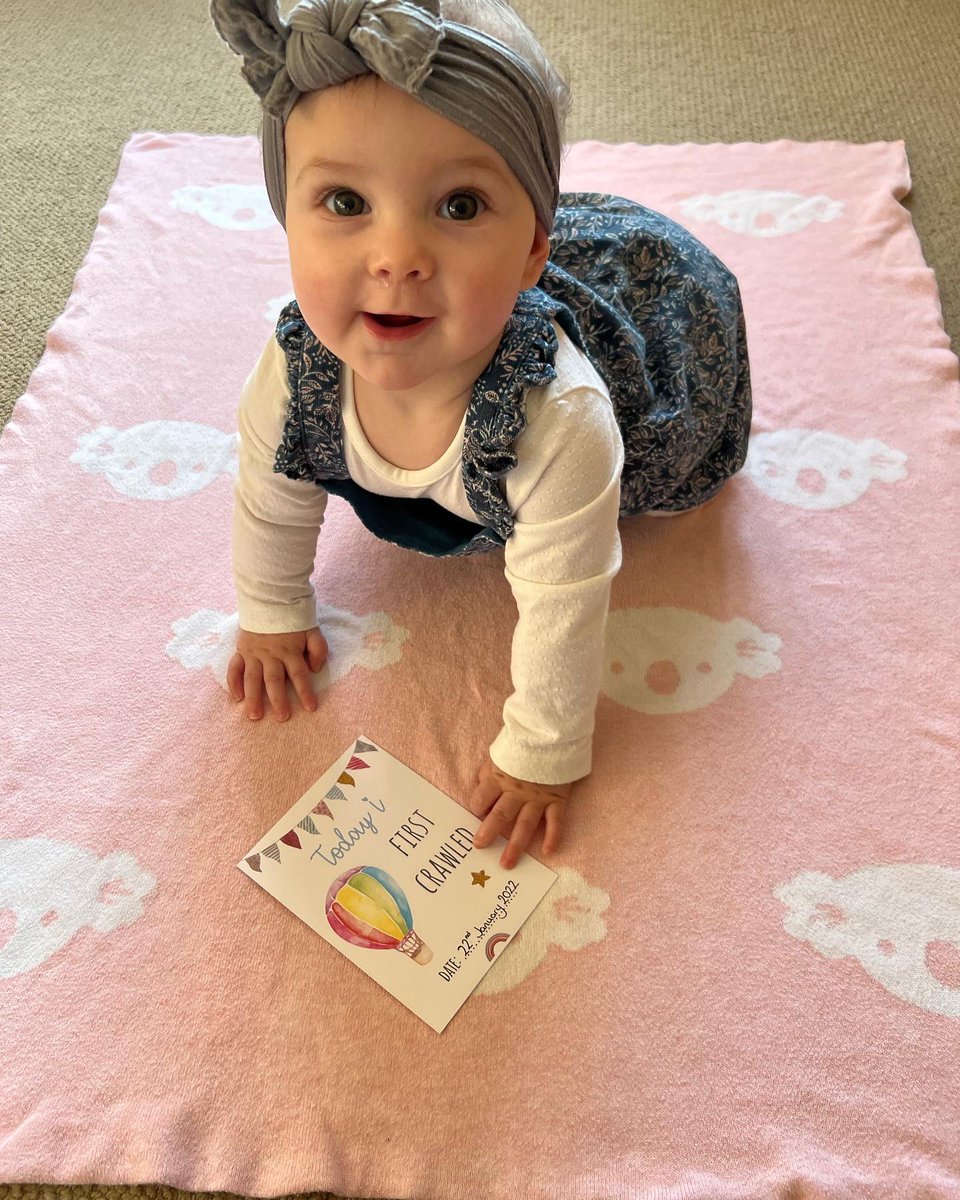 jade243's tweet photo. Another delayed post! Time to lock everything down and buy stair gates!
There’s no stopping her now… 😬 Poor Bailey…
#BabyGirl #FirstTimeMummy #MaternityLeave #MumJourney #BabyAdventures #CrawlingBaby https://t.co/AVqR9pGNTr